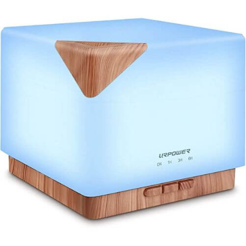 Diffuser-gifts-that-start-with-d