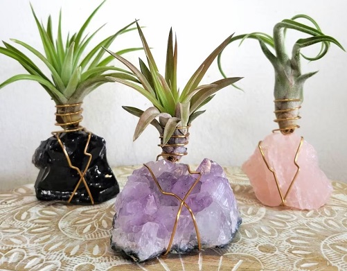 Crystal-Air-Plant-30th-birthday-gifts