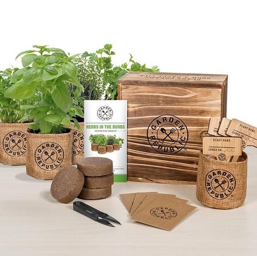 Organic-Kitchen-Herb-Garden-Kit-Employee-Appreciation-Day-Gifts