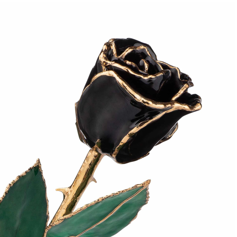 Black Real Rose Dipped in 24k Gold
