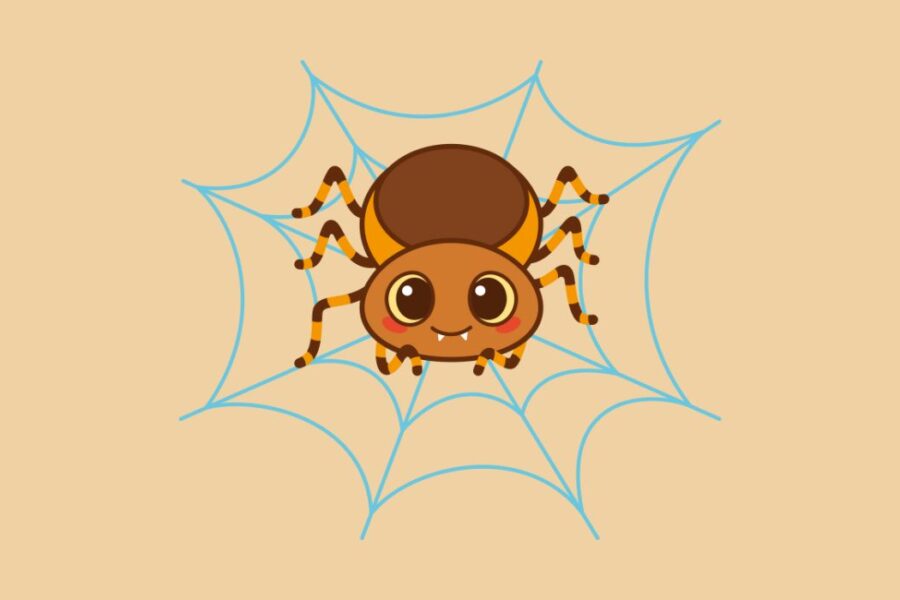 Spider Web Puns And Jokes