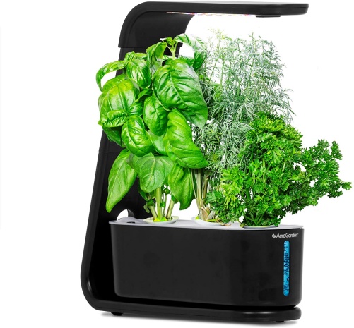 AeroGarden Black Sprout long distance mothers day gifts