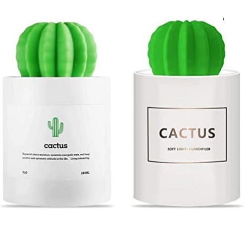 Cactus-humidifier-Best-honeymoon-gifts