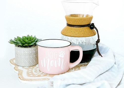 Dog-Mom-Mug-with-Stylish-Gift-Box-Mothers-Day-mug-ideas