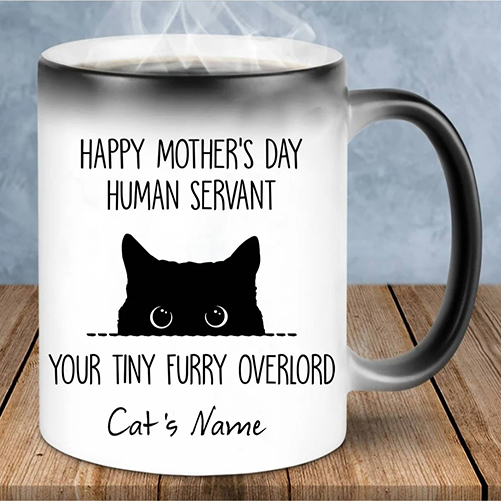 Happy Mother's Day Human Servant Mug