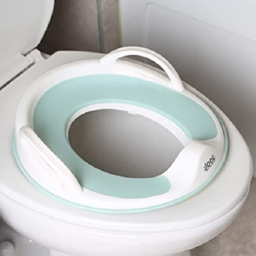 Toilet training seat