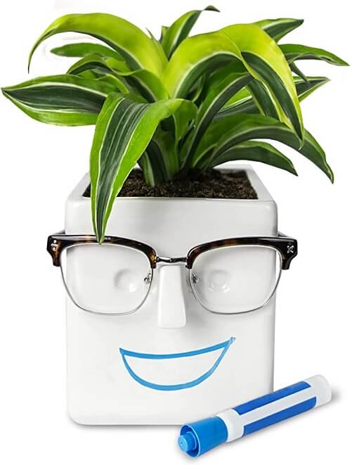 Cute-plant-pot-funny-teacher-gifts