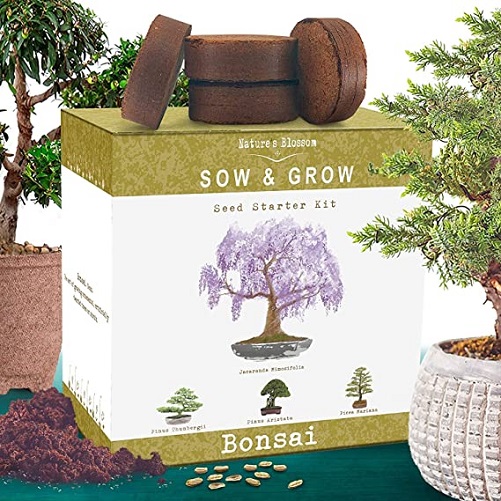 Japanese-Bonsai-50th-birthday-gifts-mom