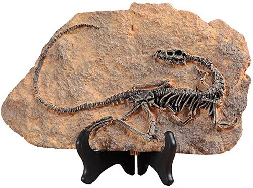 Resin-Dinosaur-Fossil-Statue-Model-dinosaur-gifts-for-adults