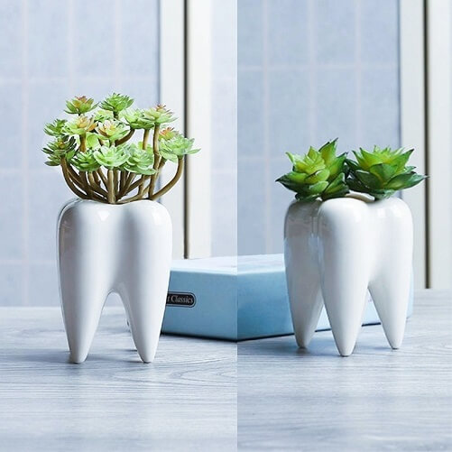 Teeth-Planter-Pots-Dentist-gifts-ideas