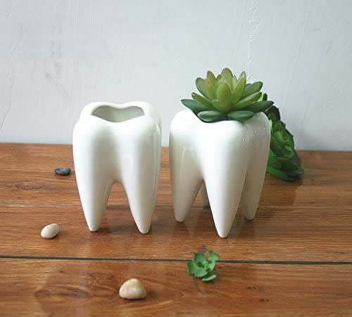 Teeth-Planter-Pots-dentist-gifts-ideas
