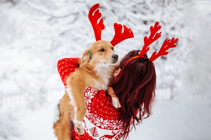 Cute Christmas Captions for Dogs