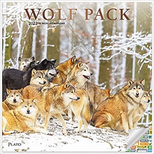 Deluxe-2022-Wolves-Wall-Calendar-Bundle-Wolf-Gifts