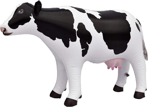 Pool-Party-Decoration-cow-gifts