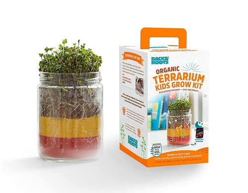 Organic-Kids-Terrarium-Grow-Kit-Gifts-for-nature-lovers