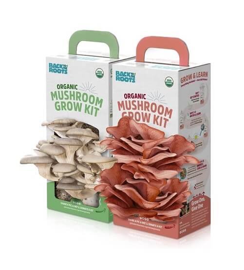 Organic-Mushroom-Grow-Kit-Gifts-for-nature-lovers