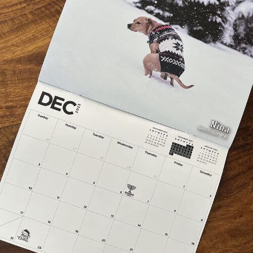 Pooping-Pooches-White-Elephant-Gag-Gift-Calendart-Funny-Secret-Santa-Gift