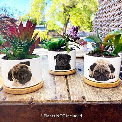 Pug-Planter-Sets-Pug-Gifts