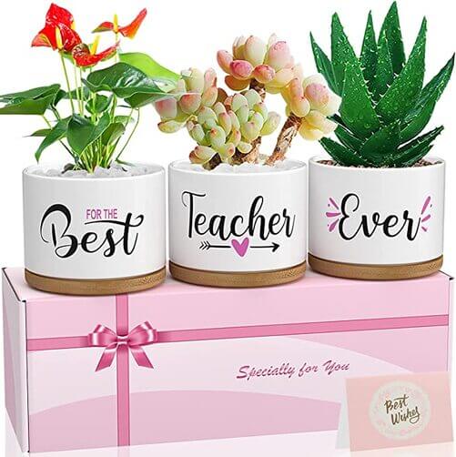 Succulent-Pots-with-Gift-Box-Teacher-Gift-Set