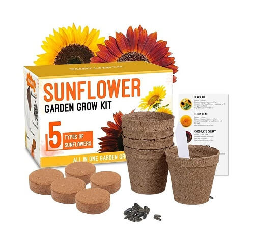 Sunflower-Grow-Kit-Gifts-for-nature-lovers