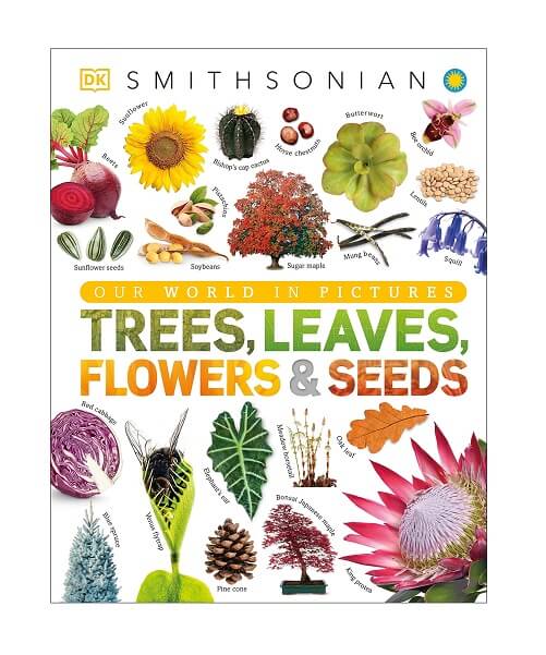 Trees-Leaves-Flowers-and-Seeds-Book-Gifts-for-nature-lovers