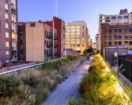 high-line-park-experience-Gifts-New-York-City