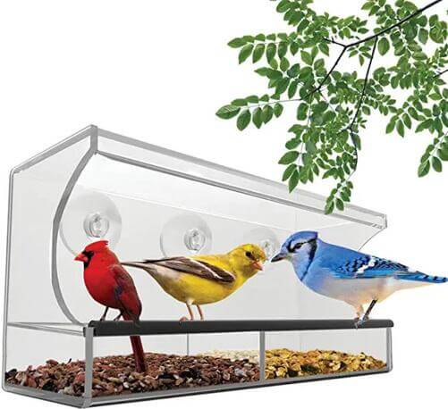 Clear-Window-Bird-Feeder-Weatherproof-Bird-House