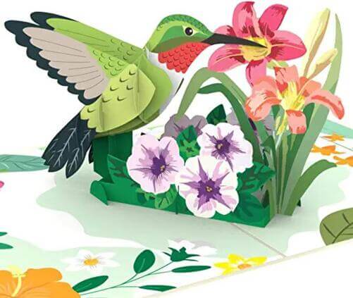 Hummingbird-3D-Greeting-Pop-Up-Card-Card