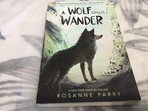 A Wolf Called Wander Paperback
