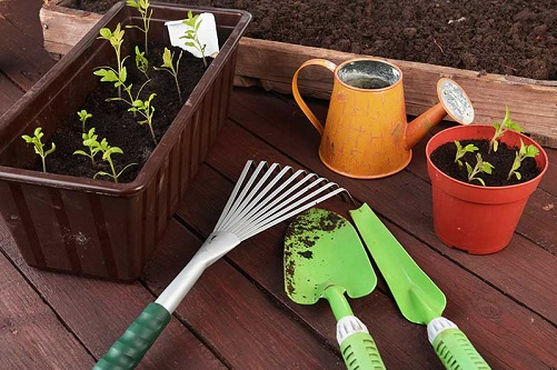 Gardening-Kit-gifts-that-start-with-G