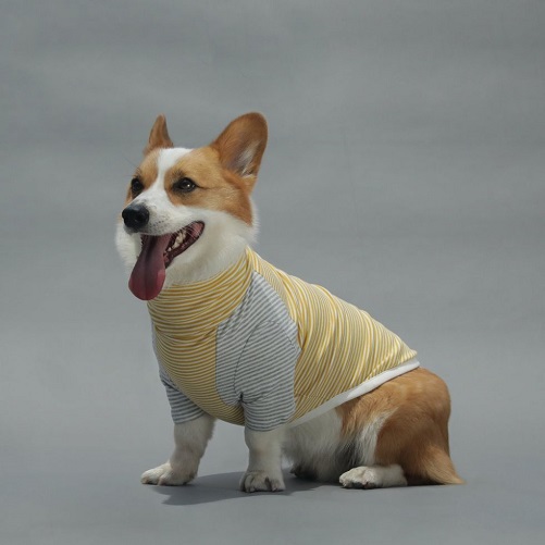 Long-Dog-Clothing-Early-Bird-Dog-Tee