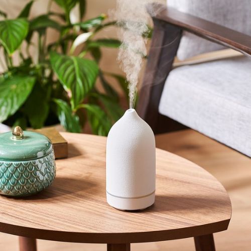 Essential-Oil-Diffuser-Gifts-Starting-with-E