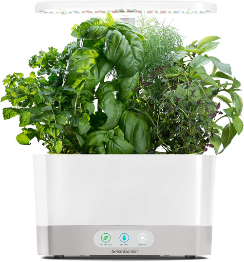 Hydroponic-Kit-gifts-that-start-with-H