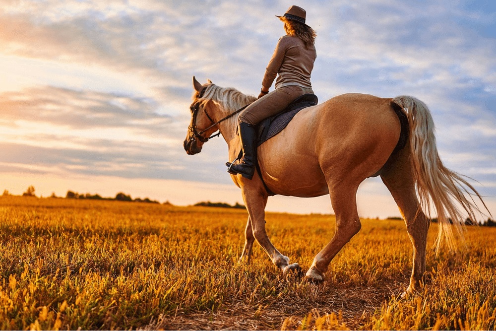 What-do-adults-do-for-their-birthday-Horseback-Riding