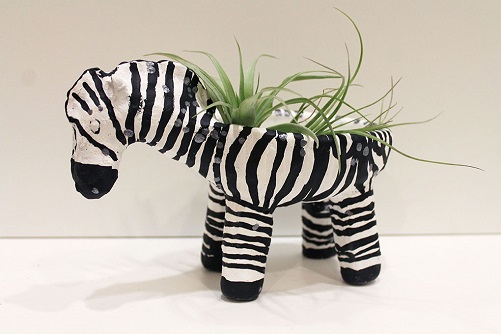 Zebra-Planter-gifts-that-start-with-z