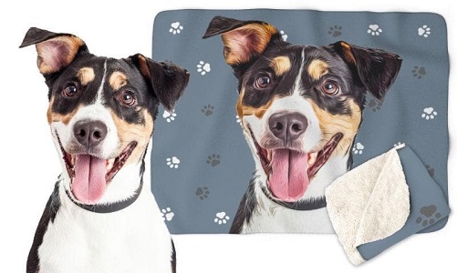 Personalized-Pet-Throw-Blanket