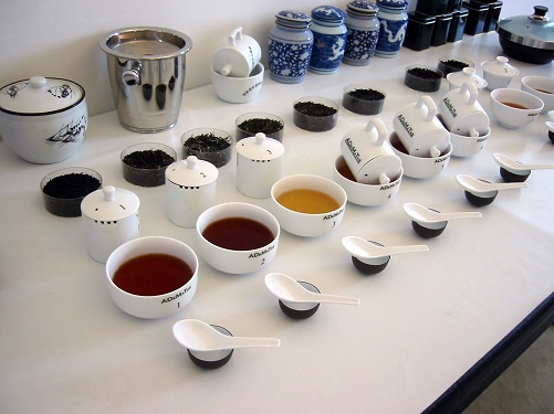 Tea-Tasting-Kit-Cool-Writers-kit