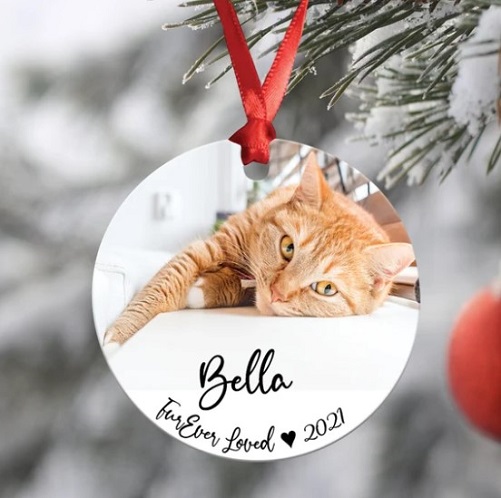 Custom Cat Photo Car Ornament gifts for cat moms