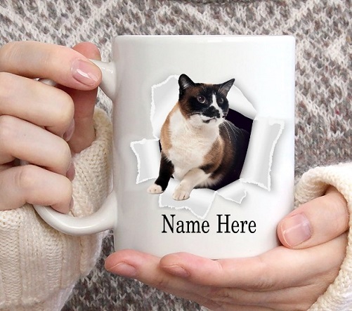 Custom Cat’s Name White Mug gifts for cat moms
