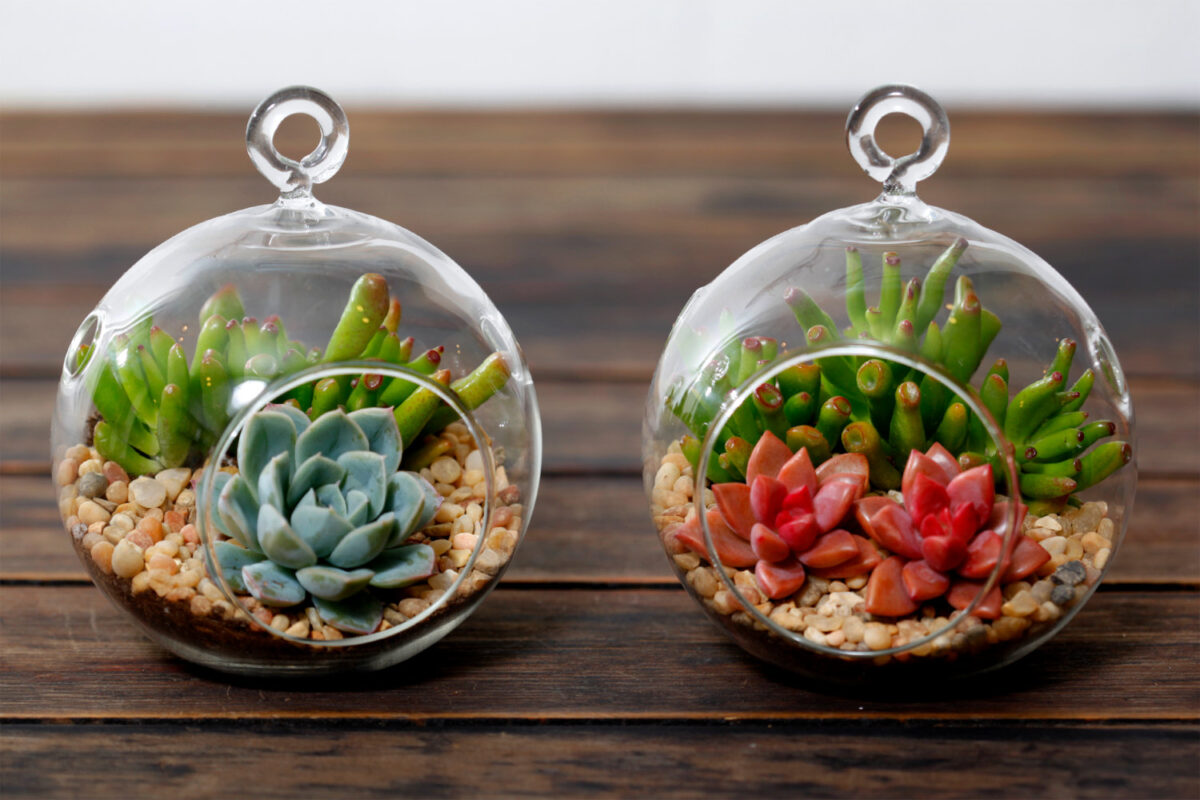 DIY-Terrarium-diy-gifts-for-mothers-day