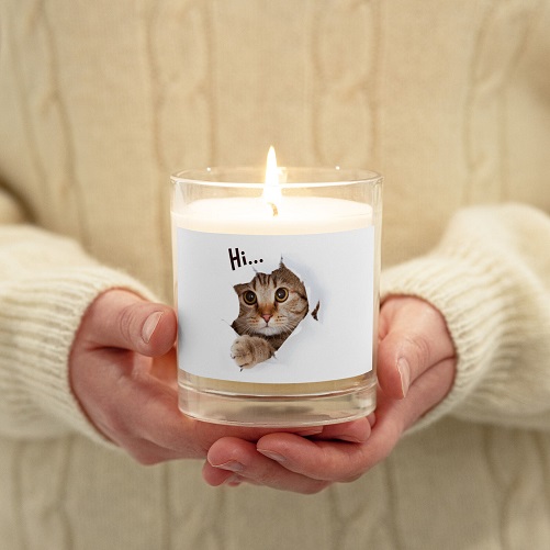Cat-Soy-Candle-gifts-for-cat-lovers