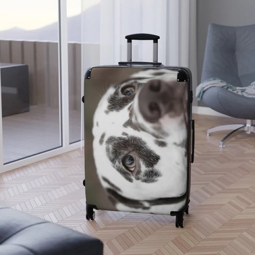 Dalmatian Carry-On Suitcase