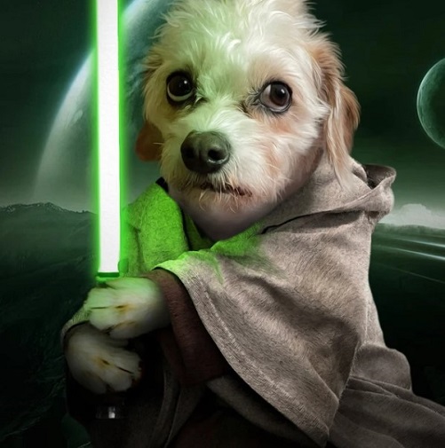 Star Wars Yoda Pet Portrait star wars gifts for kids