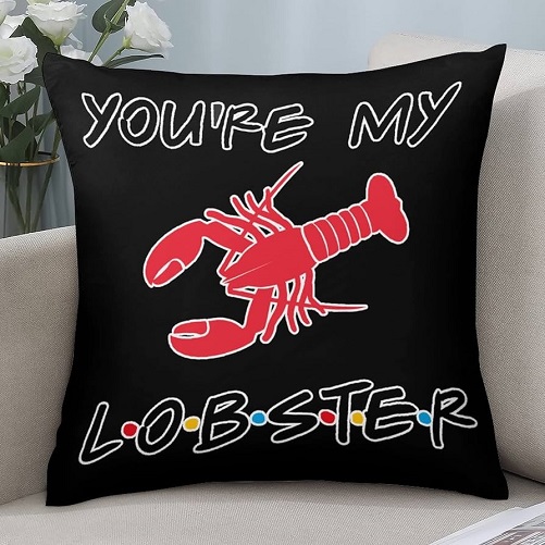 You’re My Lobster Pillowcase gifts for friends fans