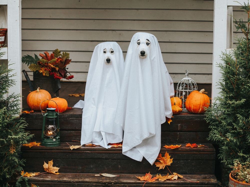 Ghost Puns Love For Spooky Season