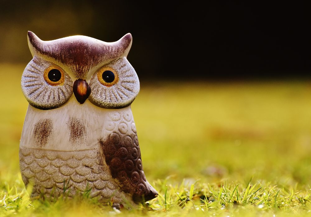 Short Owl Puns And Jokes