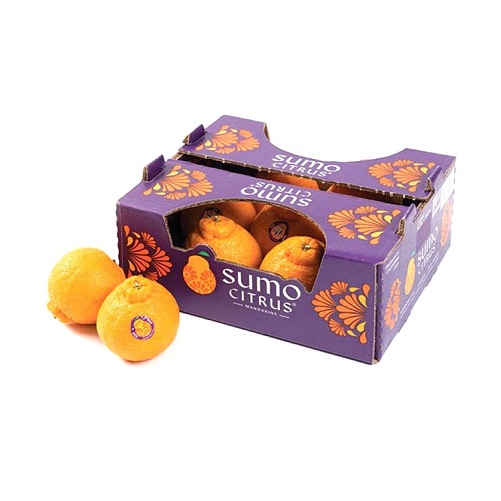 Sumo Citrus Gift Box get well gift ideas