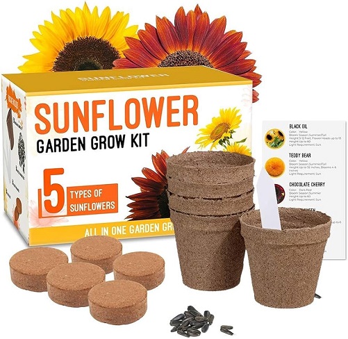 Sunflower Garden Grow Kit corporate gifts