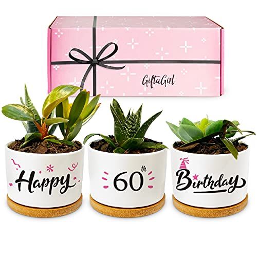 60th Birthday Planter Set