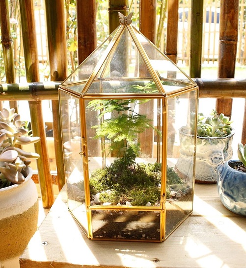 Elegantlife Glass Plant Terrarium